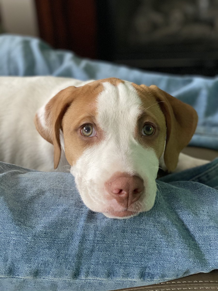 Buffy82198's tweet photo. @enews Maggie 🥰 https://t.co/cgwUhheCGP