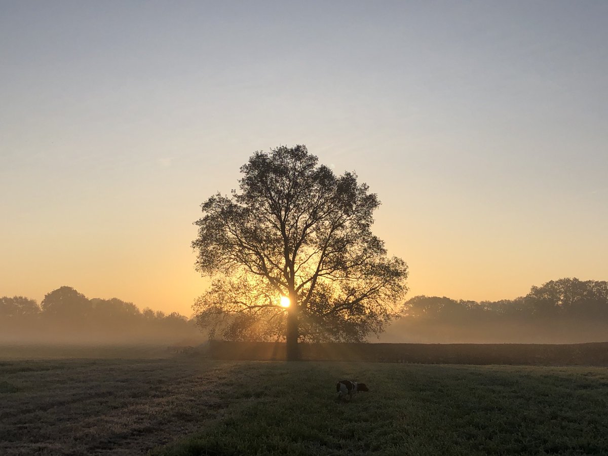 karinmeuleman's tweet photo. Goedemorgen deze mooie morgen! Fijne dag! https://t.co/RJgfiRuQ90