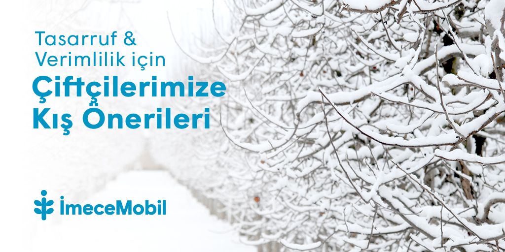 imecemobil's tweet photo. Verimli bir hasat için hazırlıklar kıştan başlar! ❄🌳 Meyvelerde hasattan sonra yapılması gerekenleri sizler için İmeceMobil uygulaması Story bölümünde paylaştık.  🌳

https://t.co/IC4Nw6CFBf
#hasat #tarım #mayve #ağaç #çiftçilik #çiftçi #yerliüretim #dijitalçiftçi #dijitaltarım https://t.co/LDQHtqQqIQ