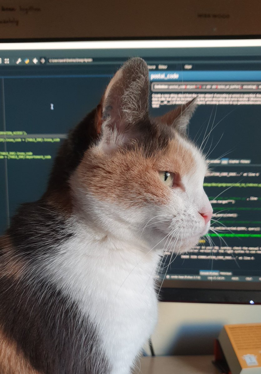 GreenOverflow's tweet photo. Cat4design ! Processing bugs... 😼👩‍💻 #Design4Green #Challenge #GreenIT #EcoDesign #ImakeITsustainable #Dontcodelikeapig @Design4Green https://t.co/N0TsTyICug