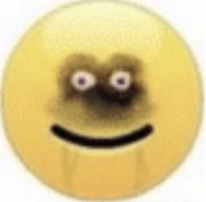 BeeShiip's tweet photo. four emotions i constantly feel: https://t.co/xHyGwXHImC