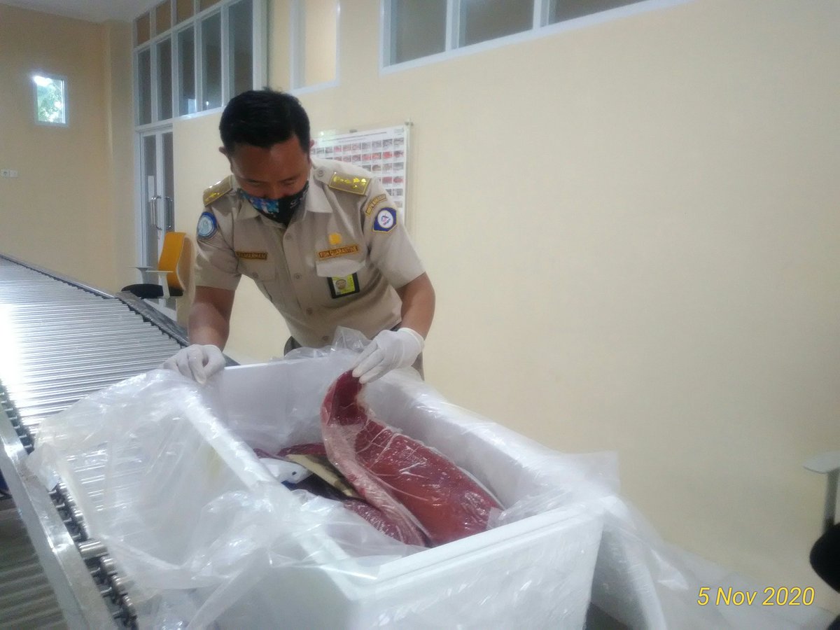 BPPMHKPMakassar's tweet photo. 05/11 15:37 Pemeriksaan fisik kebenaran jenis dan jumlah terhadap lalulintas domestik tujuan Jakarta berupa  Daging Tuna Segar 294 kg 10 koli   
di TPFI BBKIPM Makassar 
#OneHealthKIPM
@rinajanwar2201 
@idjahChadidjah 
@HumasBKIPM https://t.co/YkNXOE9T1i