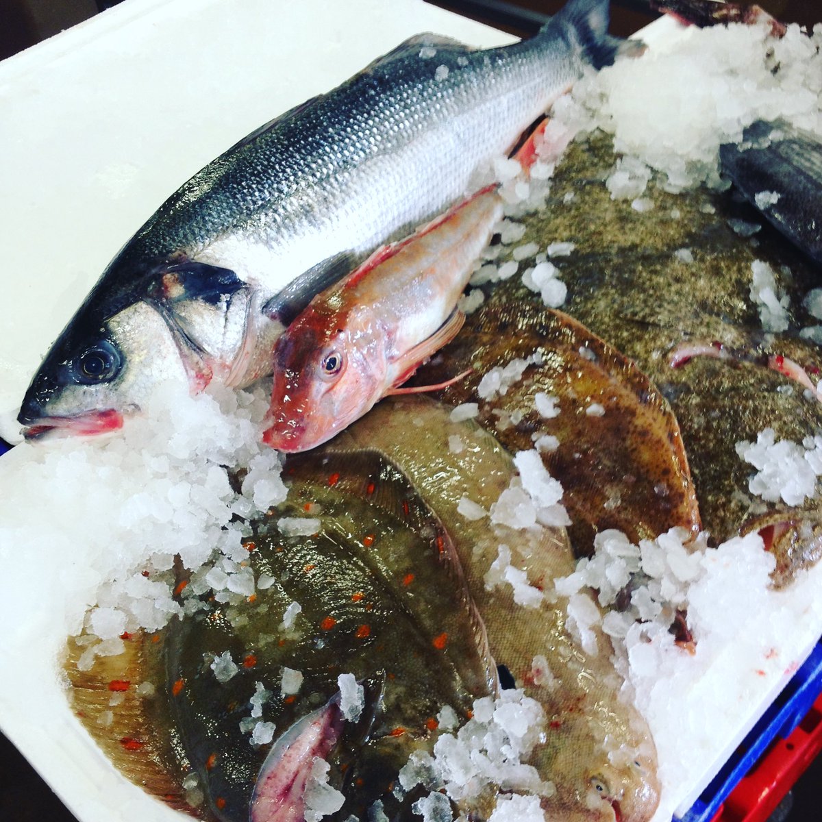 Direct Seafoods tweet media