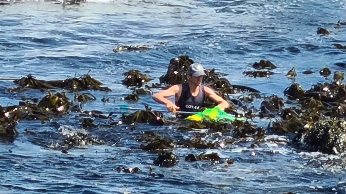 CityofCT's tweet photo. At around 08:00 this morning, the City’s Disaster Risk Management Call Centre was alerted by the Shell Garage owner at Three Anchor Bay in Sea Point that approx 100 oil canisters/cans/bottles were dumped into the sea.

Read more: https://t.co/uC0JCEKv3L

#CTNews https://t.co/bTRGUgaUne