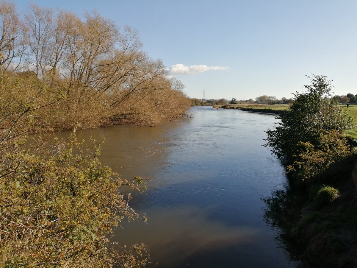 PascaleExeter's tweet photo. Another day, another #MarkingWalk reading exciting work to take my mind off the various disasters happening around me (speaking of which, what's happening with the #Brexit talks nobody is talking about while the clock ticks on?) https://t.co/QfXPgg0OcT