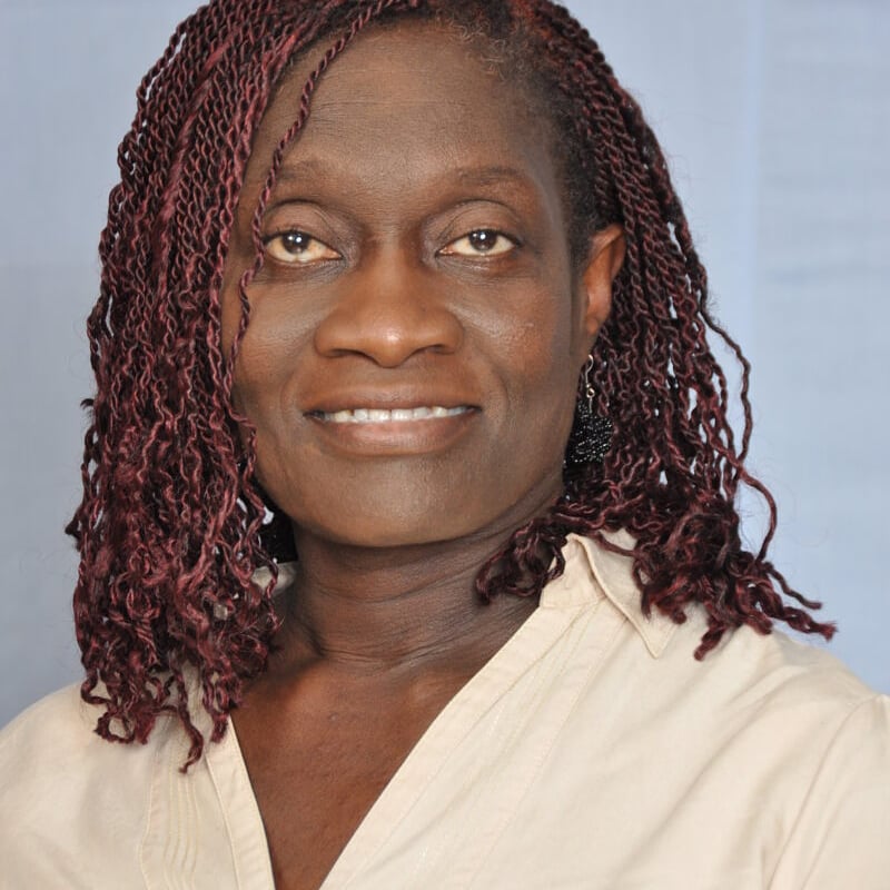 TheIntellady's tweet photo. Our Intelligent Lady Inspires personality of the week is  @TheoSowa 
She is the CEO of the African Women Development Fund @awdf01 and an independent advisor and consultant, specialising in international social development with emphasis on children’s rights and protection issues. https://t.co/DNf8uvKwK8