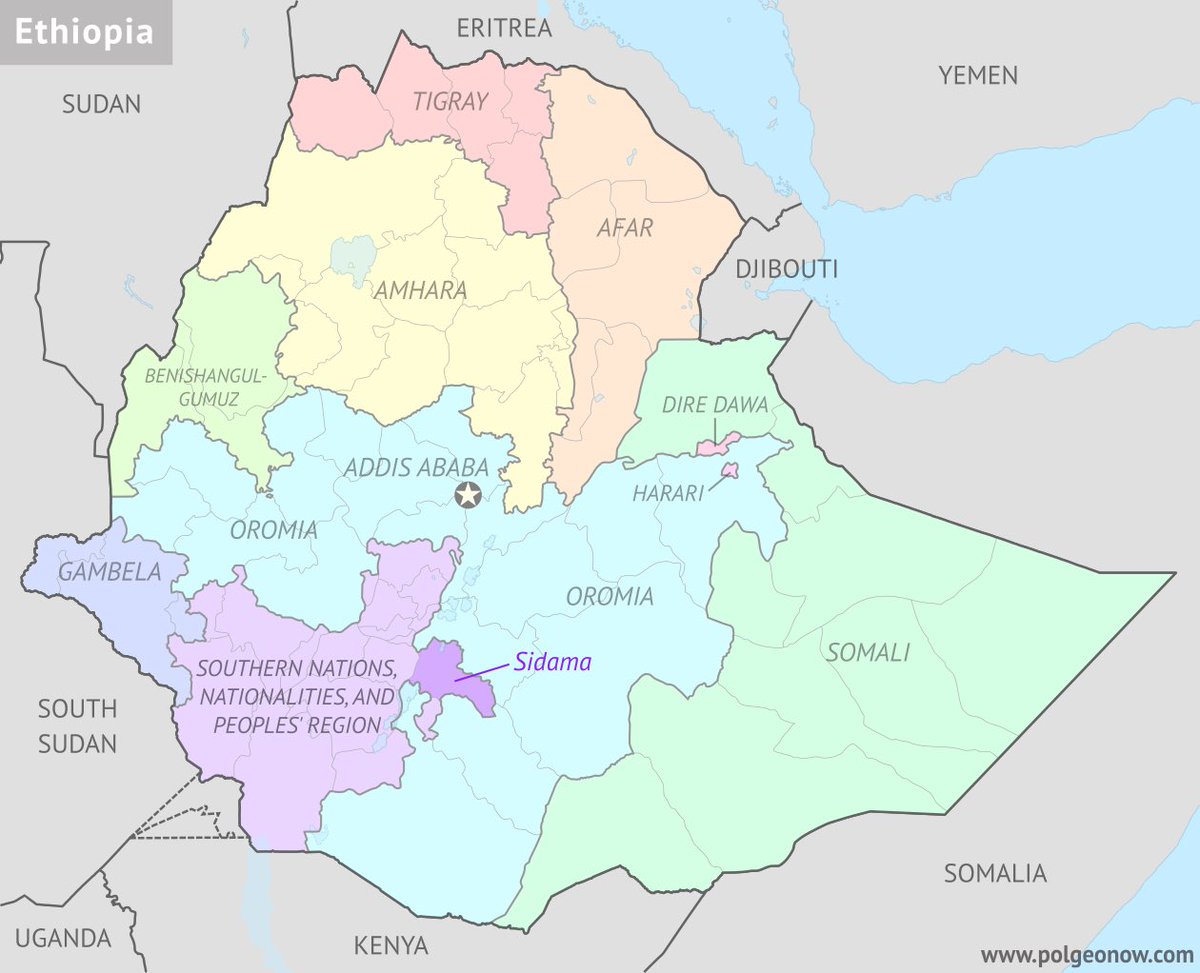 Ethiopia’s 8 regions, including the newly formed Sidama Region, endorsed the federal government’s action on TPLF.