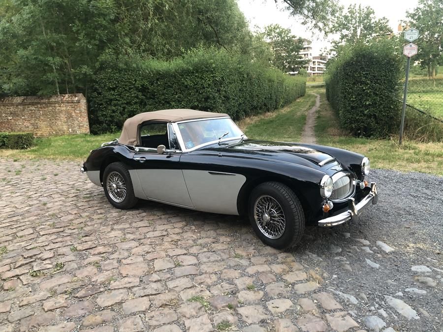 AHSparesLtd's tweet photo. Two new listings in Europe this week! A Big Healey 3000 MK3 in Belgium and a 3000 MK1 in the Netherlands. https://t.co/I2BYqjQ5iI

#healeysforsale #ahspares #austinhealey #austinhealey3000 #BJ8 #BT7 https://t.co/ScGF6x6jtt