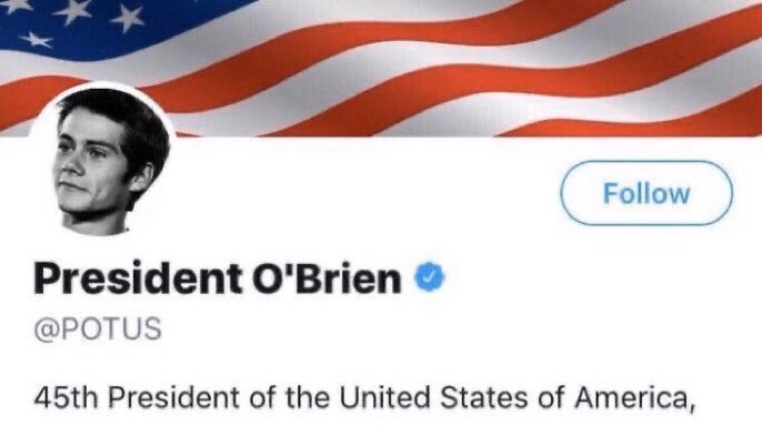 dianaob66665659's tweet image. Vote for the new president, with him the country will rise to a new level and come to order @dylanobrien #dylanobrienpresident
