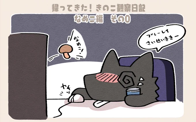 なめこ観察日記① 