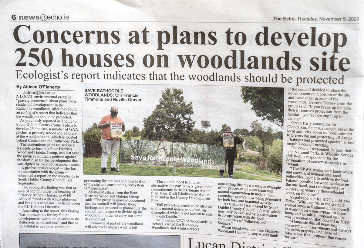 Rare Protected Habitat Identified Threatened by SDCC Housing Plan #saveRathcooleWoodlands #BiodiversityIreland #IrishWildlifeTrust #WoodlandsOfIreland