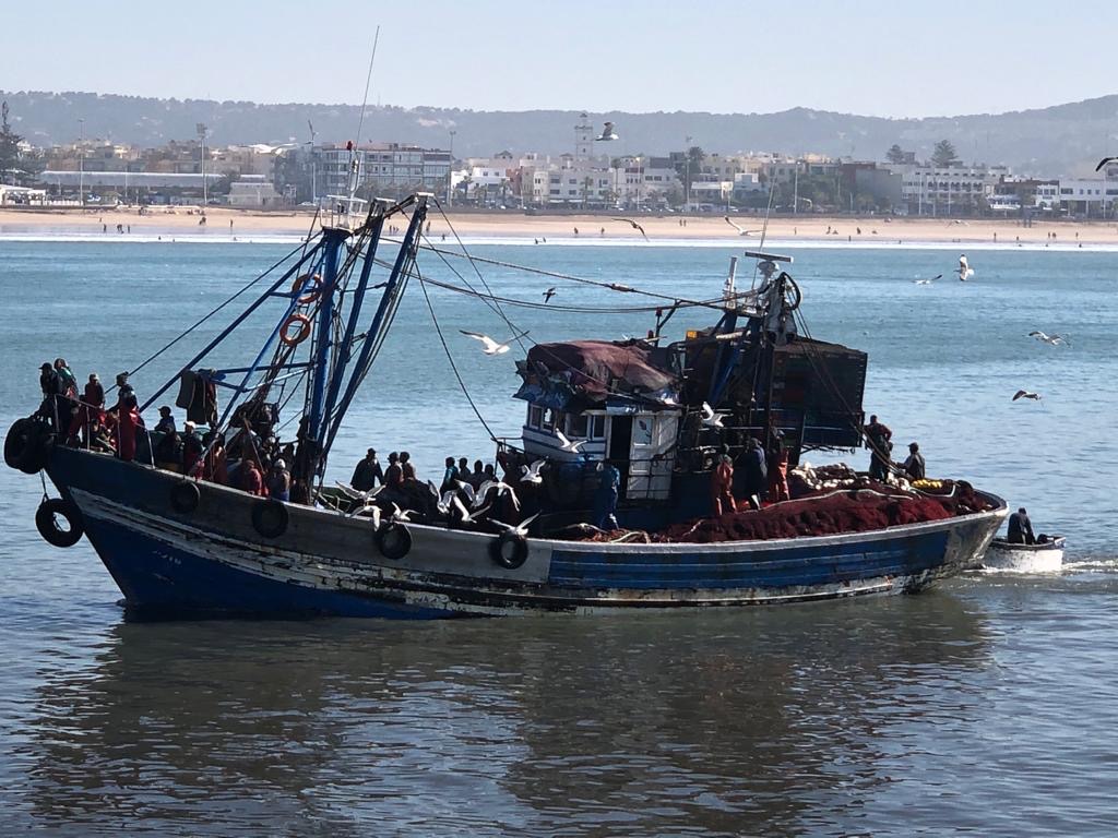 ChristinacHicks's tweet photo. New job! Snr research associate/postdoc on power and politics of food

Join a growing @ERC_Research group at @LancsUniLEC tackling intersecting inequities in aquatic food systems

Collab w/ @gio_bettini; @PipCohen @WorldFishCenter; @hazel_healy @newint ++
https://t.co/4AwOduYMRQ https://t.co/DbiSDez9Zz