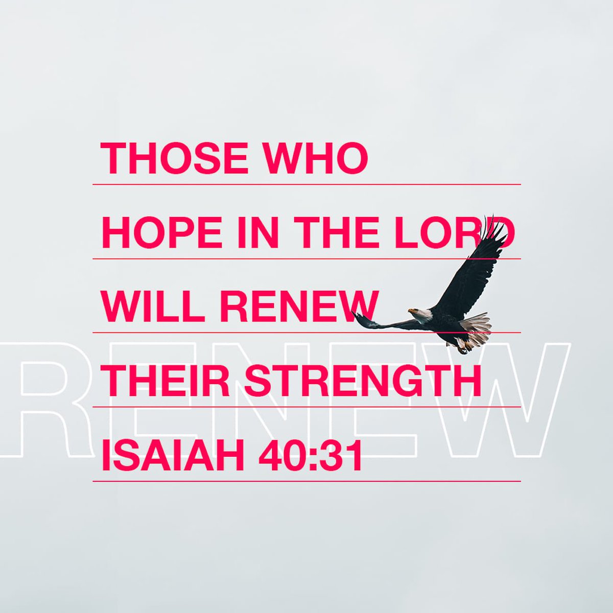 Who is your hope in? bible.com/111/isa.40.28-…