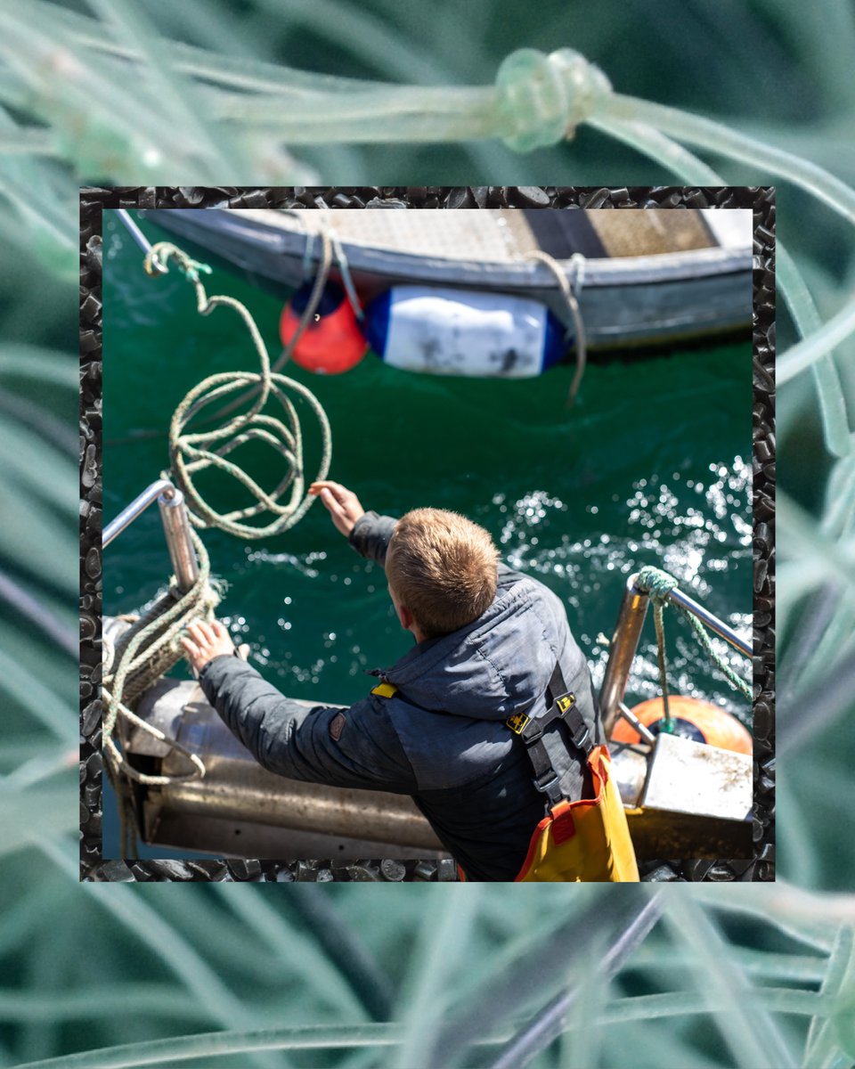 Ulysse Nardin tweet media