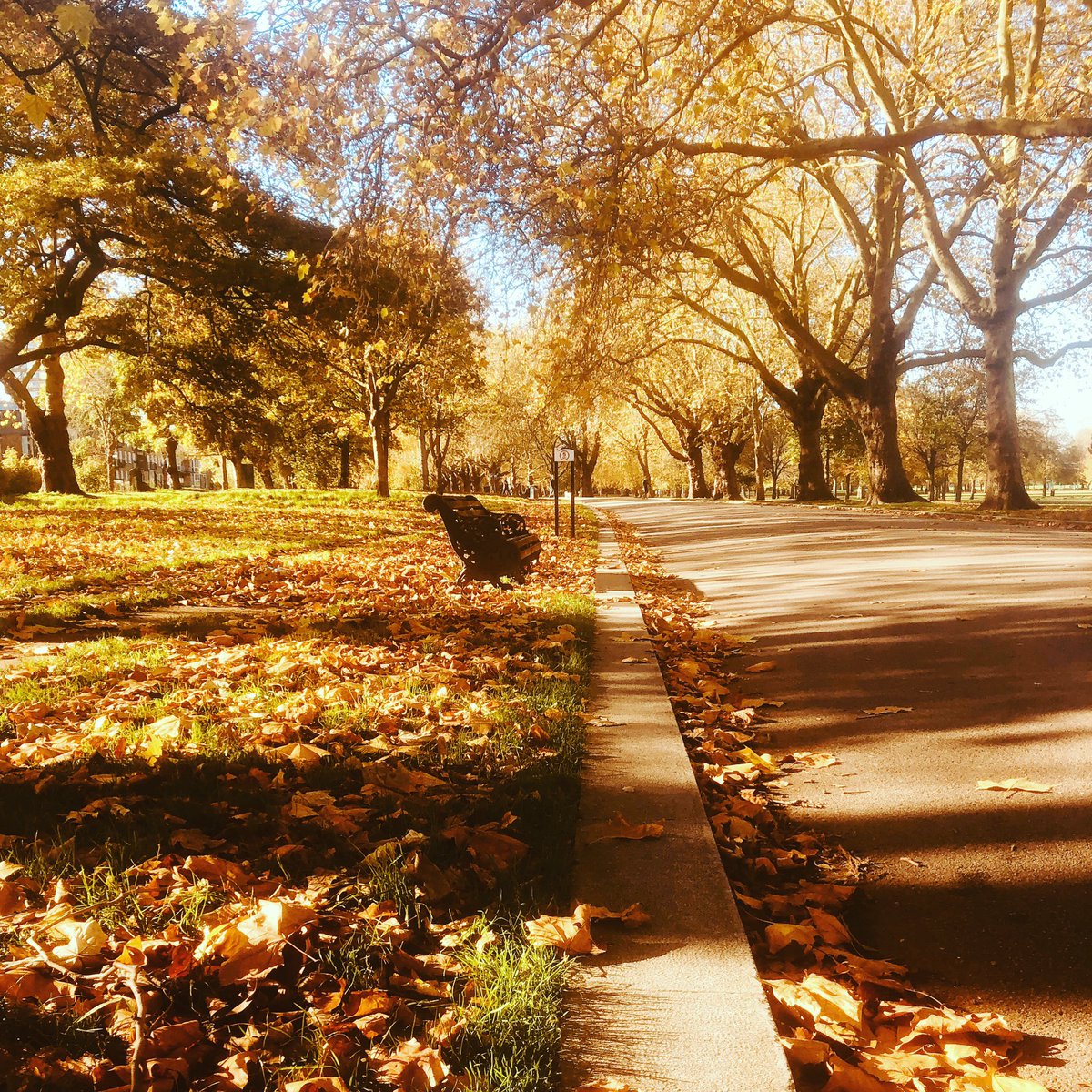 SGstructures's tweet image. Second Lockdown in England starting today and we are open during normal business hours and following Government guidelines! 
On our way to our client by walking in Victoria Park 🍁🍂

Stay safe 😷

 #sgstructures #structuralengineering #engineering #charteredengineer