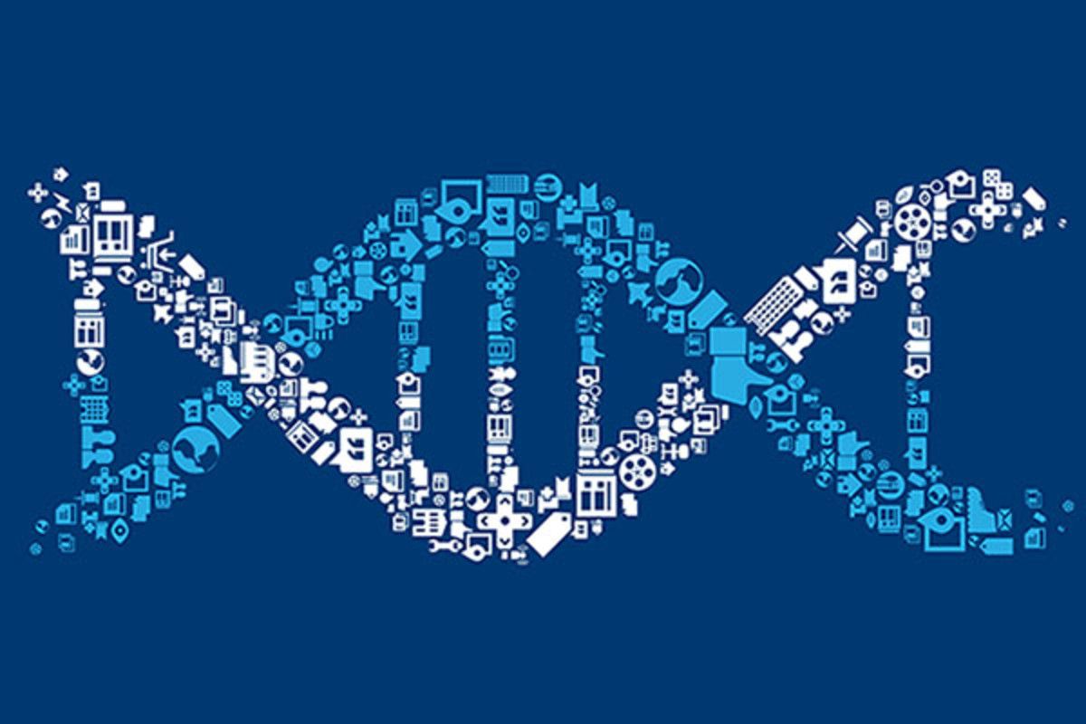 HLTHRun's tweet photo. Researchers have revealed that it's not just germs that make us sick but genes are also responsible. The sickness depends on pathogens and the genetic variations including interferons that sabotage immune molecules https://t.co/FpMdMiCWsK
#pathogens #shivom #geneticvariations https://t.co/HrgLTjQvQC