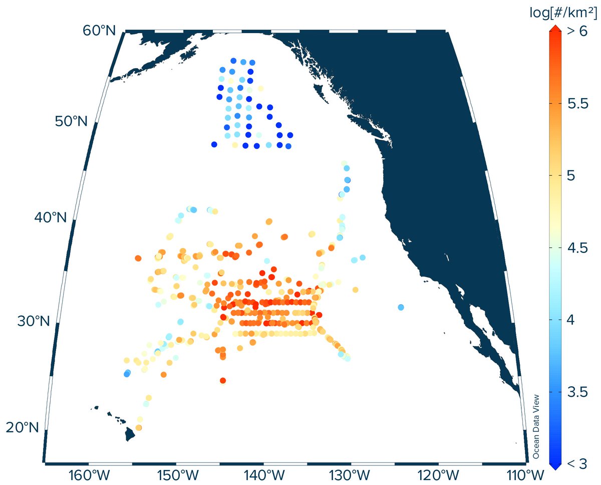 oceanegger's tweet image. Excited to share our new study published today @IOPPublishing, in which we show that microplastics are not equally missing from the sea surface in the eastern North Pacific Ocean. 
doi.org/10.1088/1748-9…