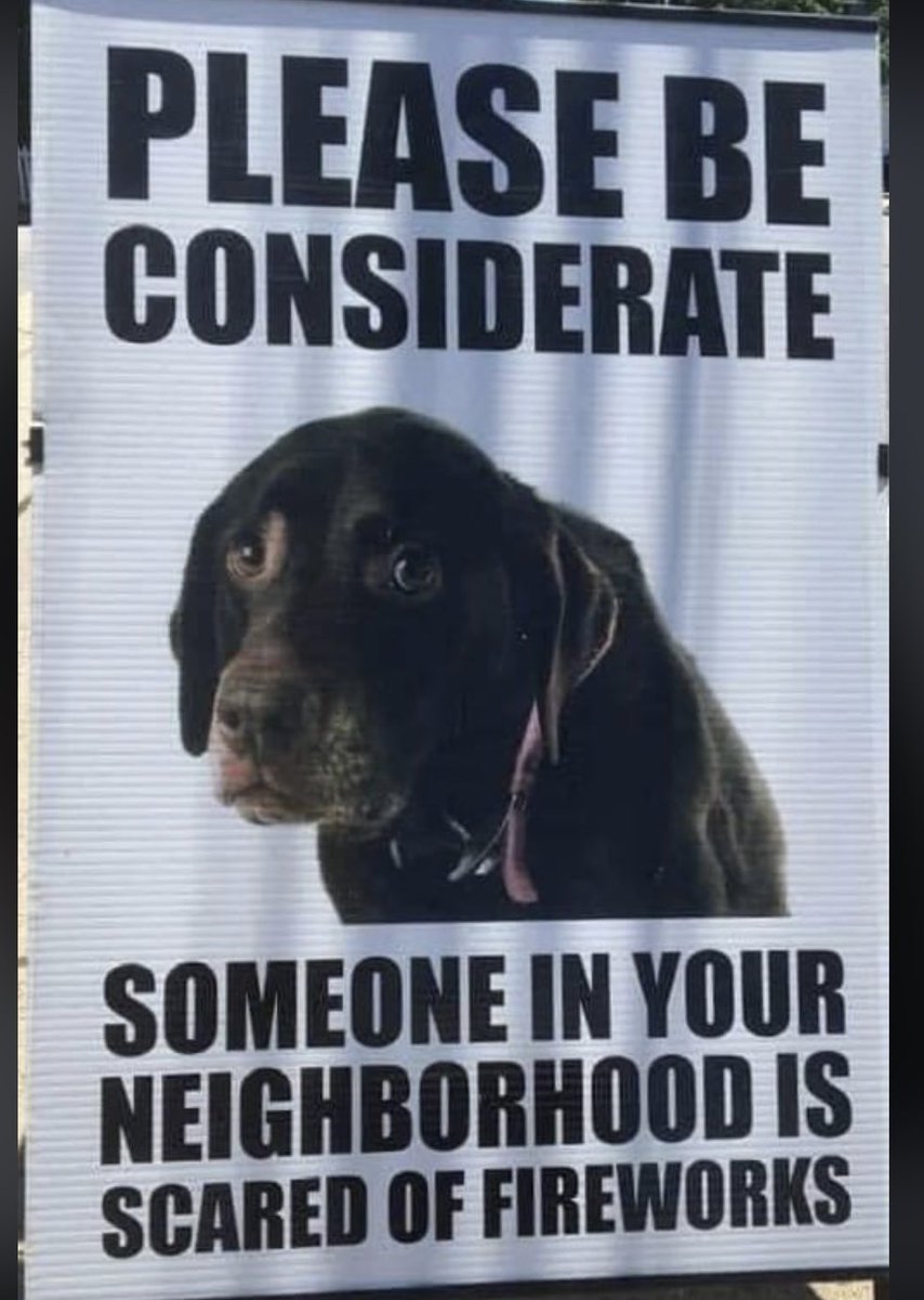 It’s Guy Fawkes day in the U.K. please be considerate to us dogs. #dogsoftwitter #dog #dogs #doglover