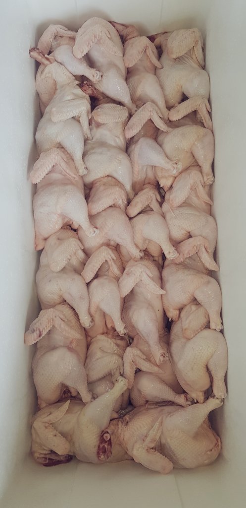 MyKokoChick tweet picture