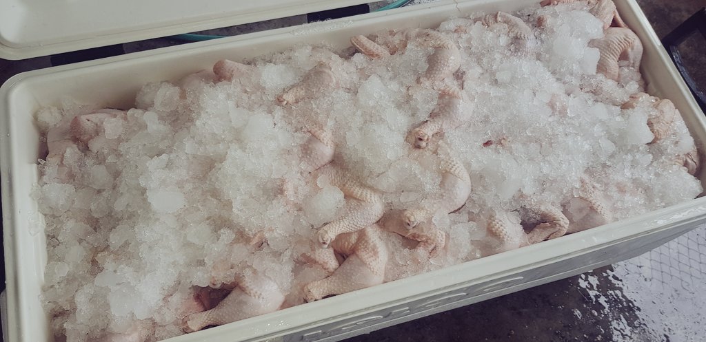 Une clientèle satisfaite est la meilleure récolte que nous puissions espérer 🔥🔥🔥
Rejoignez le club des client.e.s satisfait.e.s en appelant au 695.39.99.39