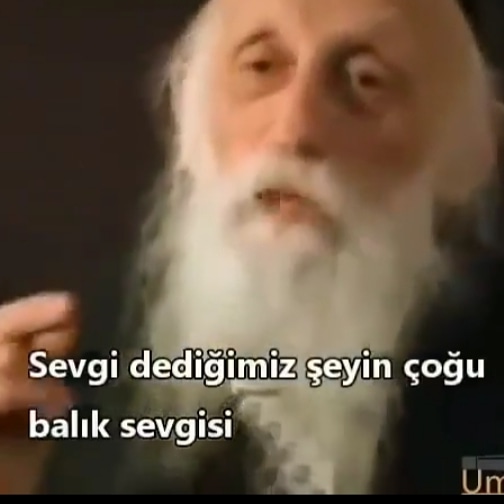 alevcedim's tweet photo. SEVGİ DEDİĞİMİZ ŞEYİN ÇOĞU BALIK SEVGİSİ...: https://t.co/EQT8O1p0wf https://t.co/tcDO87OLmj