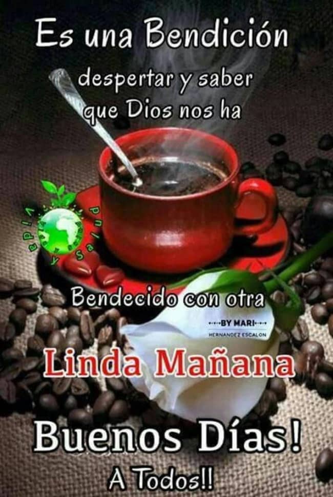 florenron's tweet photo. @maryaranza https://t.co/DhGEHbDl0R