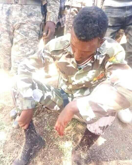 The joint NDF and Amhara region special forces is trying to minimize TPLF Militia’s casualties. The Amhara region has offered peaceful passage and amnesty to all TPLF Militia who abandon their weapons and enter the region.