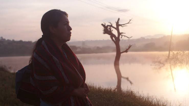 chhabs's tweet photo. This year’s @DIFFindia ends on Nov 8. A very strong collection of international films. Here are my top three picks: #76Days #Yalda #IdentifyingFeatures. Also loved #Exile #MartinEden #Notturno #CorpusChristi #Babyteeth #LastDaysOfSpring. https://t.co/u6aHnorrKT