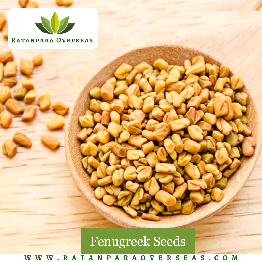 Ratanparaexport's tweet photo. Fresh quality of Fenugreek Seeds available in bulk. Contact us to buy all over the world. We are the leading producer and exporters based in India.

📲: +91 9510637428
🌐: https://t.co/LlVHbguoY6
📧: info@ratanparaoverseas.com https://t.co/Cet7JYtFKs