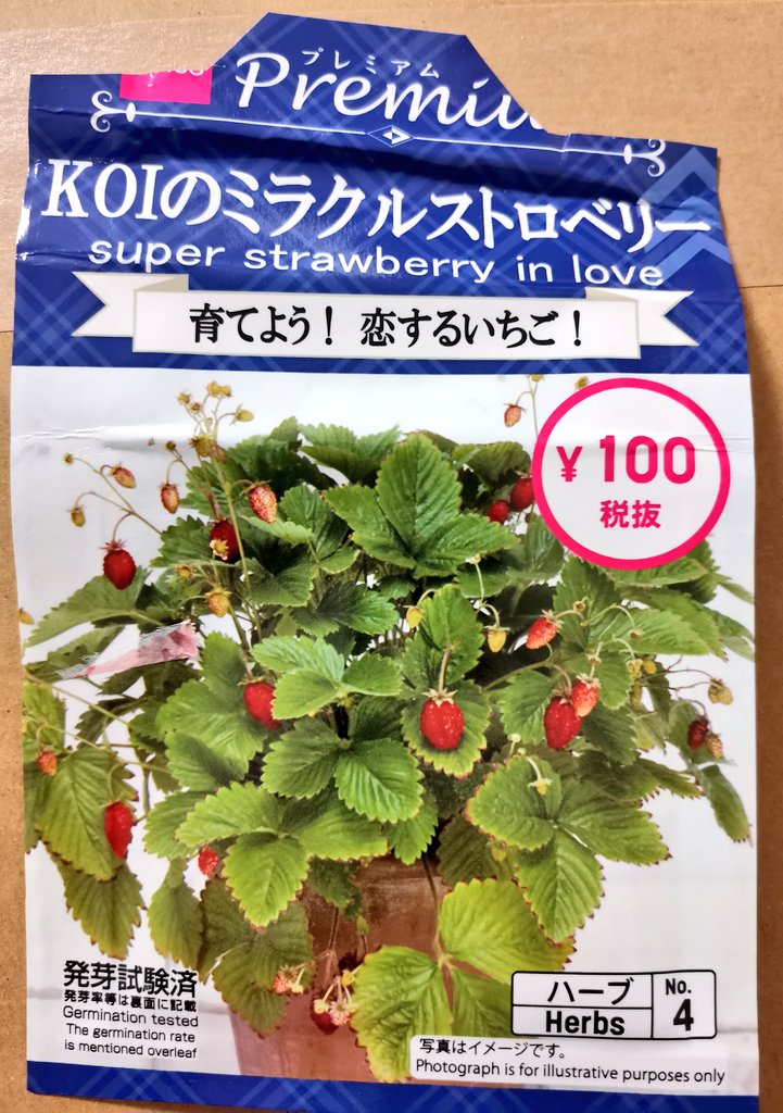 ひらい民治 ワイルドストロベリーの種はこちら 恋もミラクルもロマンスも知らんわ ひらい民治 ワイルドストロベリーの種はこちら 恋もミラクルもロマンスも知らんわ