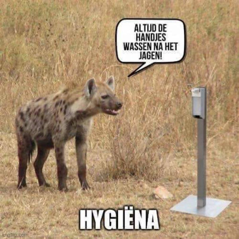 Hij is leuk :-)