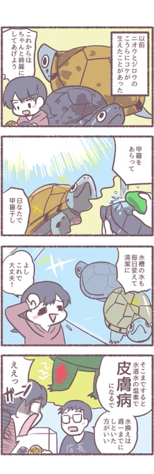 こまめなケア
#カメ好きと繋がりたい #マンガが読めるハッシュタグ 