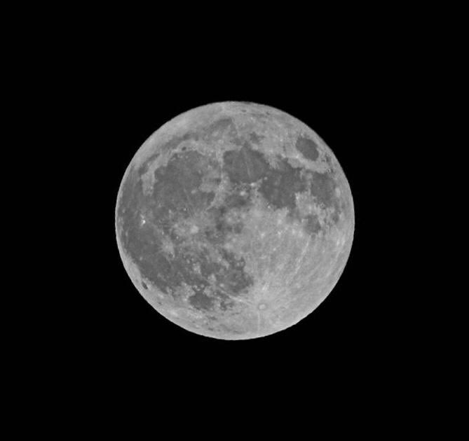 Tedd Walmsley tweet media