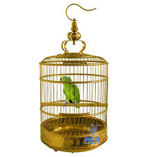 Why Moksha?A parrot, even if put it into a golden cage with all kind of food in it, would still try to fly. Because FREEDOM is irreplaceable. We too are trapped inside a golden cage (Maya) and just like the parrot we too forget to fly after spending somedays inside the cage.