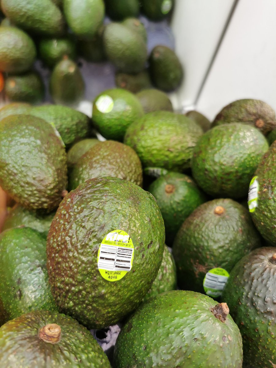 No No No Nono Twitter