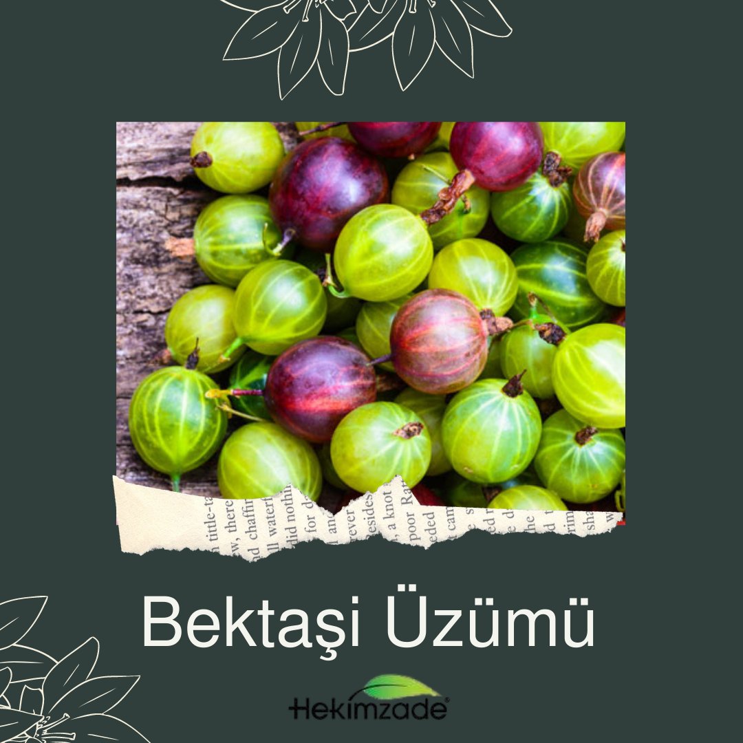 Hekimzade_com's tweet photo. ✅Bektaşi üzümünün suyu yüksek tansiyonu düşürmeye yardımcı olur. ✅Kanın kolesterol, toksin ve ağır metallerden temizlenmesine yardımcı olur.
✅Hemoglobin, bakır ve B9 vitamininin üretimine de yardımcı 
✅Karaciğer ve böbrek aktivitesini iyileştirerek kanın sağlığını destekler https://t.co/R5DzGwcpm2