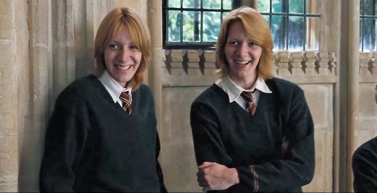 And finally, a tweet to appreciate the twins. I can’t make you choose one of them If you’re a Potterhead, do follow  Did you like the thread?