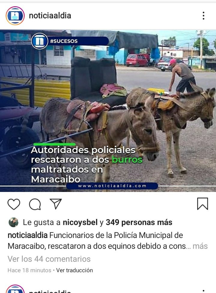 Que trágico, no solo pasa con los miles de burritos abusados,también perritos y gatitos abandonados en las calles de mi tierra y otra regiones. 
#noticiaaldia