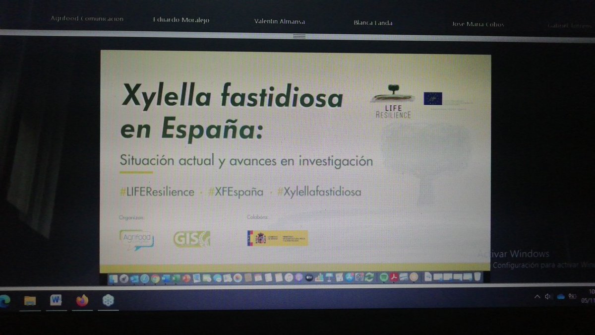 juancaagro's tweet photo. En breve dará comienzo la nueva jornada organizada por @Life_Resilience sobre la situación actual de Xylella fastidiosa en España y sus avances en la investigación👨🏽🔬
#LIFEResilience #XFEspaña #Xylellafastidiosa #Lifeproyect https://t.co/QLO0sPKaFU