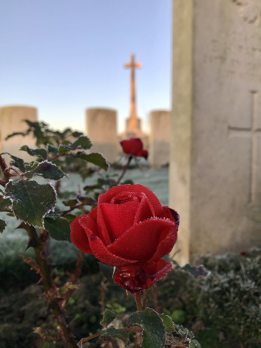 valentinpst's tweet photo. Beautiful frost today at Villers Station Cemetery 🌹 https://t.co/QpGgAzgkqz
