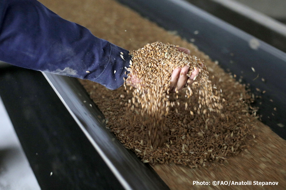 FAOnews's tweet photo. 🔵 Global #foodprices continue rising in October (🔺3.1% vs Sept 2020 and 🔺6.0% vs Oct 2019) led by cereals, sugar, dairy and vegetable oils.

 🌏 2020 cereal production revised downward but still expected to reach an all-time high. 

👉 https://t.co/gIAU4ct3hZ https://t.co/uxGQlvCpfU
