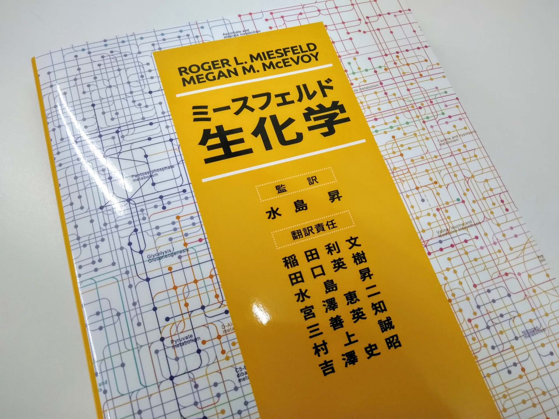 ミースフェルド生化学