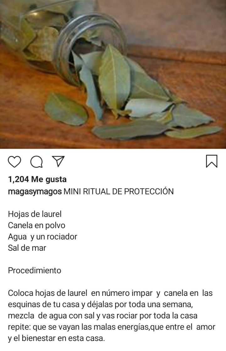 Si pierde el catire, vayan buscando su arbolito de laurel. #losvalosanecesitar 😟