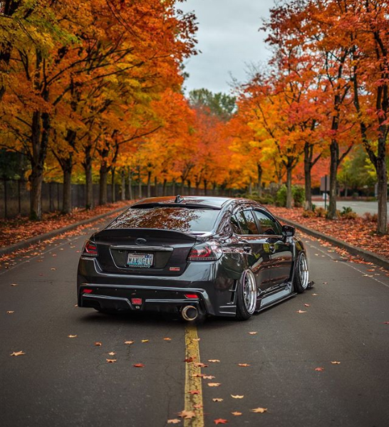gekisoku_charge's tweet photo. #Repost @maxgav.wrx with @get_repost
#ใใฃใผใธในใใผใ #ในใใซ #WRX STI/S4 #VAB #VAG
ใฟใคใ2-A ใใณใใผใญใใ(2ใใฉใฐใฉใณใไปๆง)
ใๆ็จใใใใจใใใใใพใ๐
https://t.co/74LomJDXeC
#subaruwrx #subaruwrxsti #ๆ้ #stanceworks
#StaticDrop #chargespeed #subie #subiesti https://t.co/wUSm8abX16