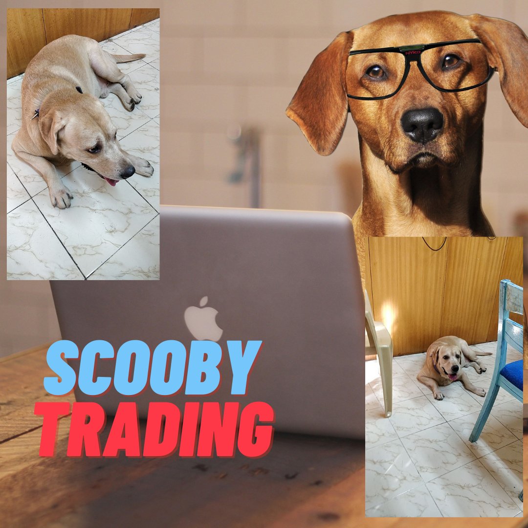 tradingcandle's tweet photo. Scooby Trading @Office https://t.co/DrqI3ZWJMa