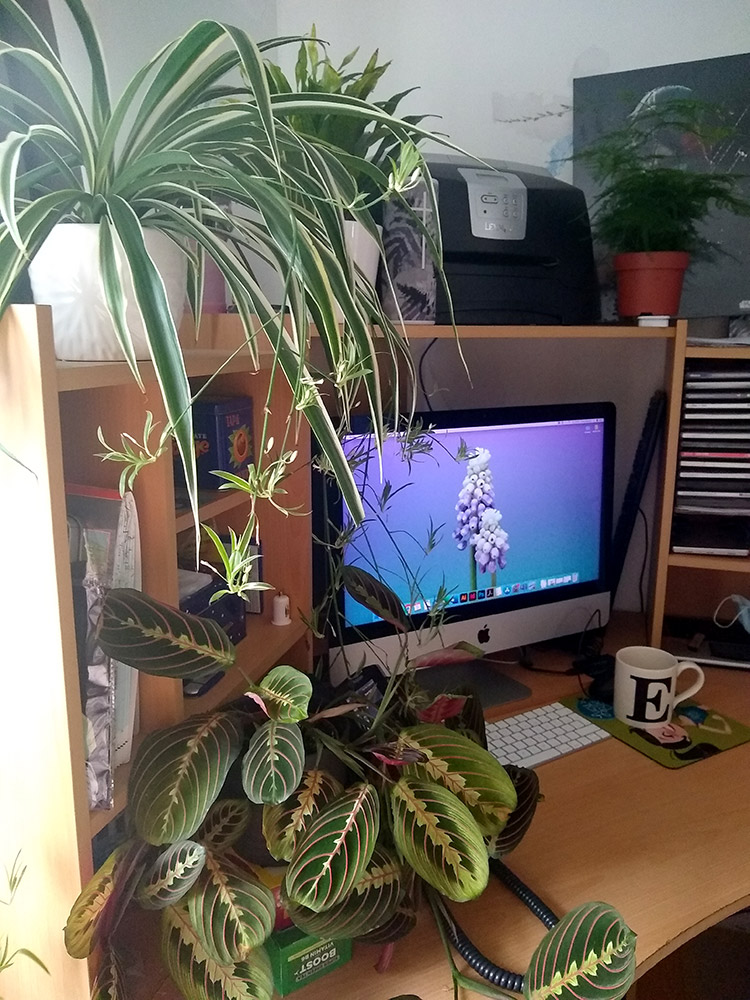 Example Marketing tweet media