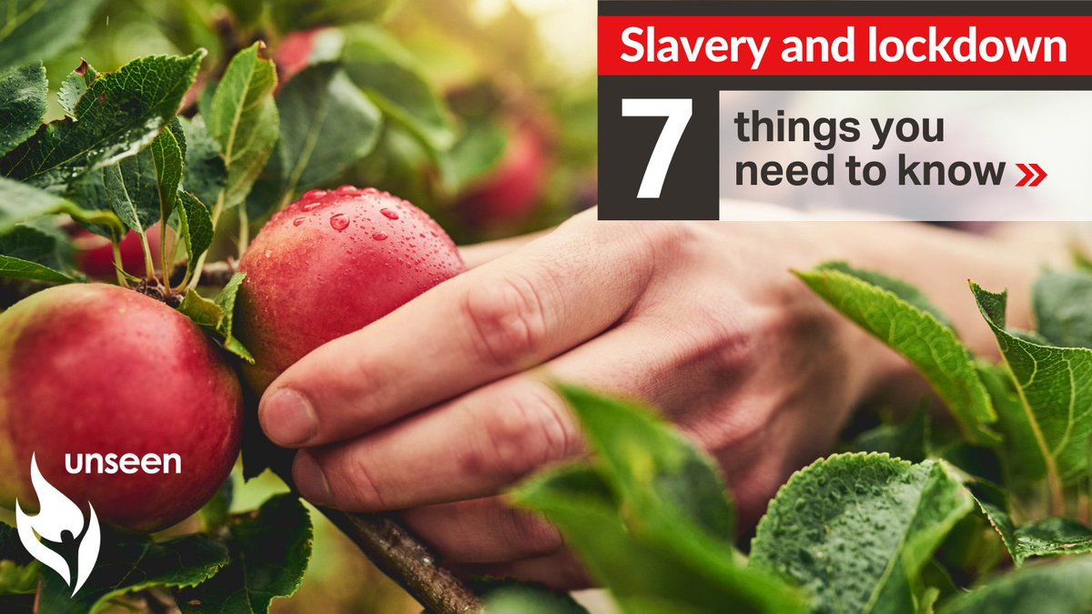 UnseenUK's tweet photo. What will happen to #modernslavery during #Lockdown2? It doesn't disappear, but goes underground - and could even get worse. Here are 7 things you need to know https://t.co/v9PMkVXgZ2 https://t.co/aBRglD7n18