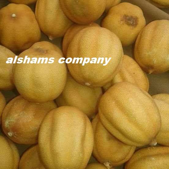 shams_company's tweet photo. Alshams company for general import and export 💥
For more infotmation about our products ,you can contact me on :-
🤳Tel/0020402544299
🤳Call&Whats-app:+201093042965
✍️Email:alshamsexporting@yahoo.com
#food #herbs #drylemon https://t.co/ISGcpKYc7n