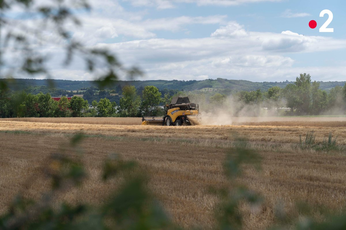 📅Le dimanche 8 novembre, le #negoceagricole Maison Cholat parlera de son action positive en faveur de la sauvegarde du busard cendré vers 12h50 sur France 2 dans l’émission Terres de partage ! <a href="/France2/">france2</a> <a href="/PassionCereales/">Passion Céréales</a>
 #agriculture #compositive #auvergnerhonealpes