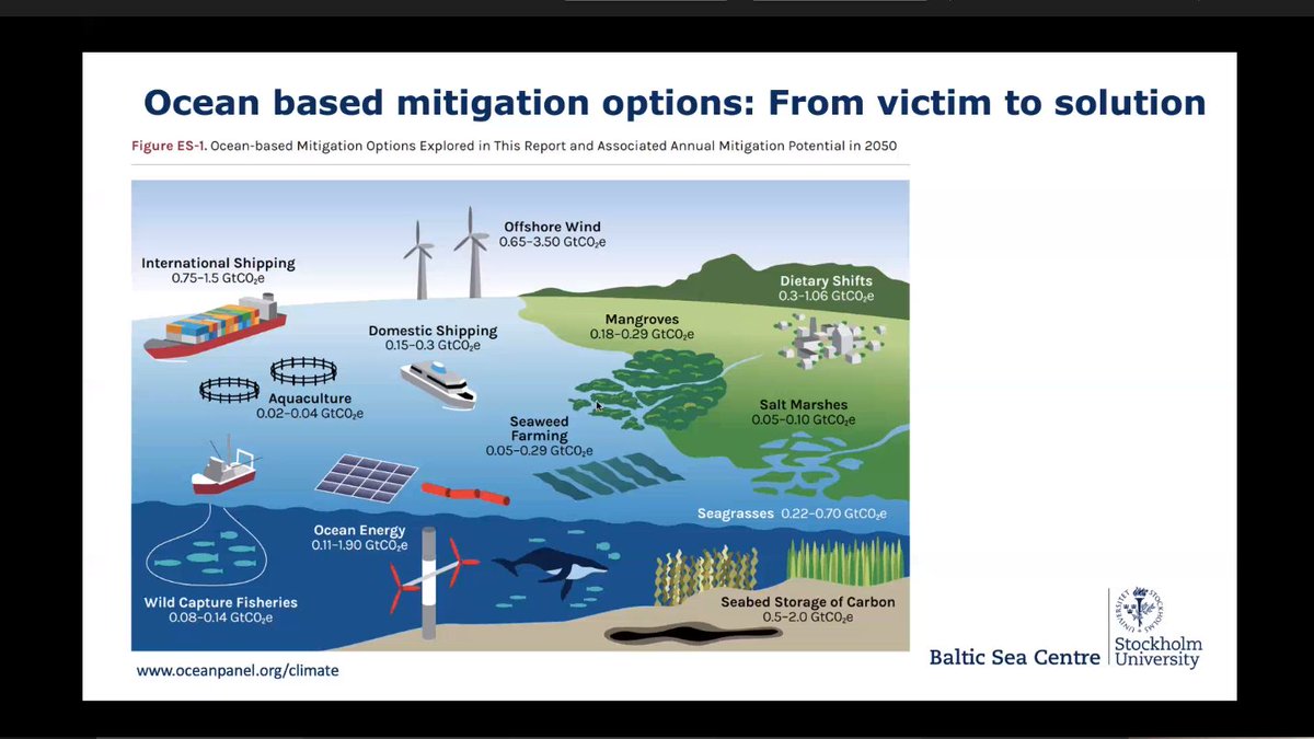 Prof Christoph Humborg 'Well managed sea is a carbon sink!'
#ecosystemapproach #BalticSea #climatechange #bluecarbon @Stockholm_Uni @Tvarminne @Searica_ITG